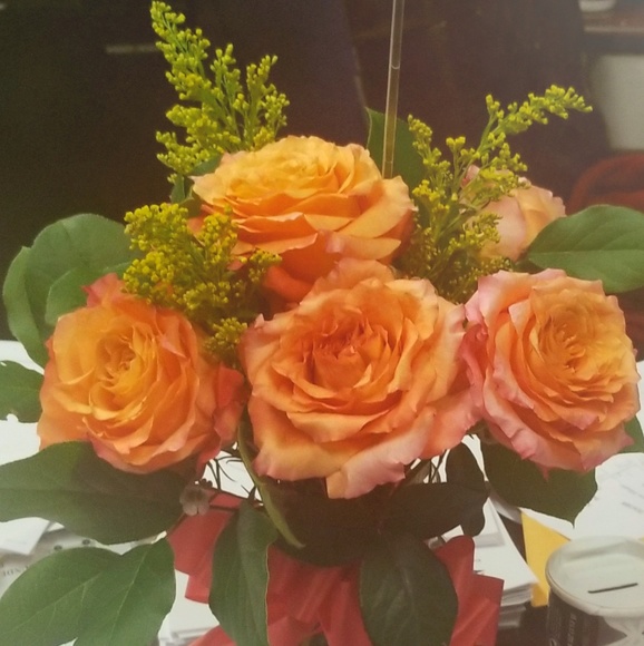 Meet your Posher, TB - Picture 1 of 1